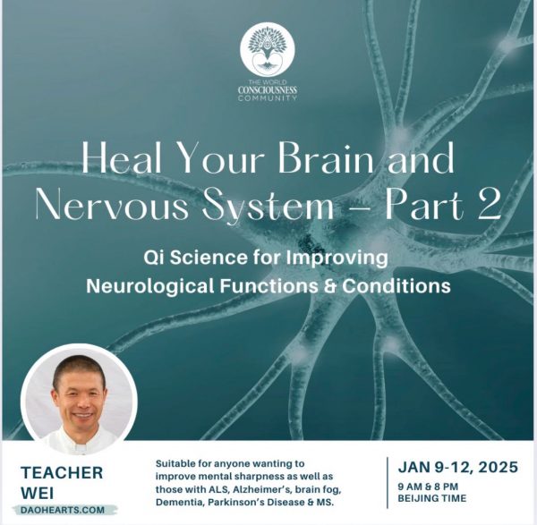 heal your brain course part 2